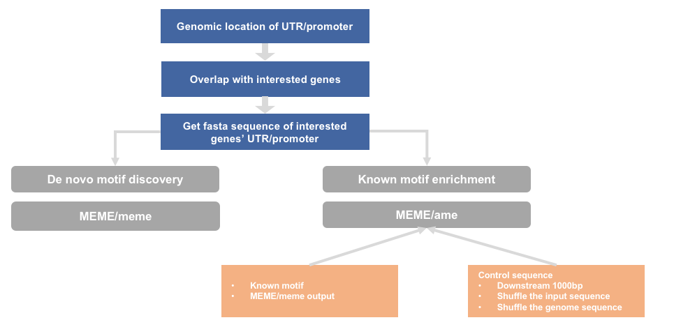 Sequence Motif Analysis Training class